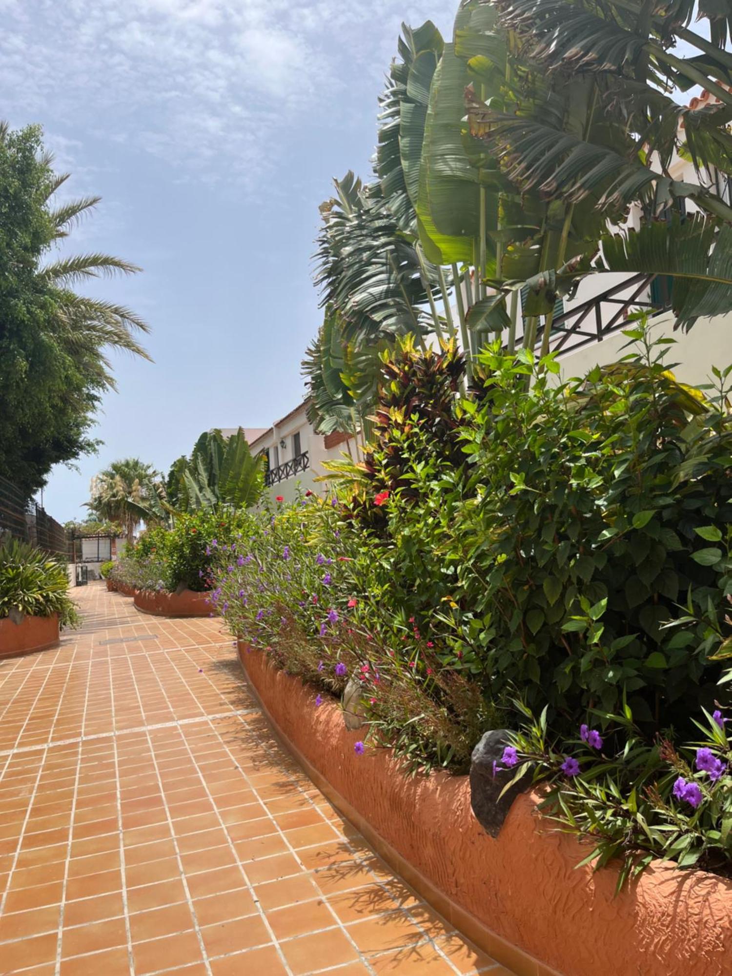 Апартаменты Casa Parque Don Jose 2 Коста-дель-Силенцио Экстерьер фото